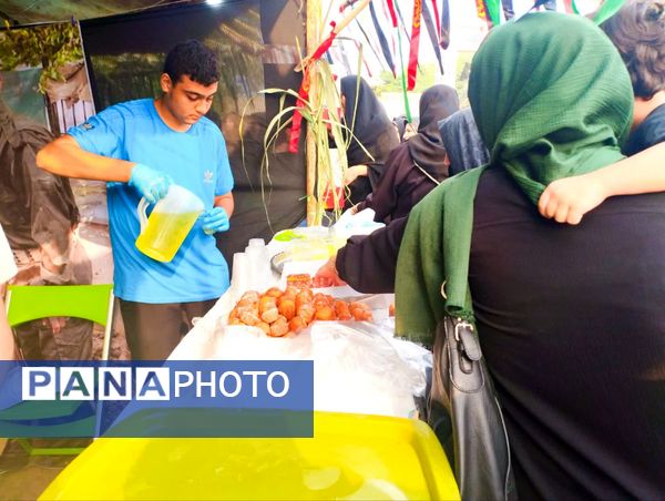 پیاده‌روی جاماندگان اربعین در میاندورود 