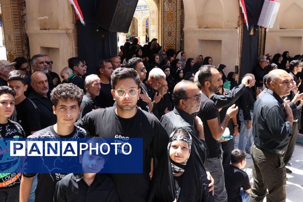 دل‌های جامانده، گرد حرم سلطان علی(ع) در مشهد اردهال به شور افتادند