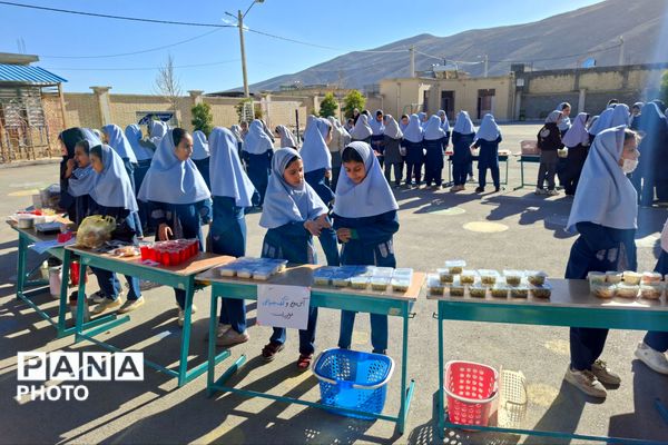 بازارچه دانش‌آموزی در دبستان ظریف کار فرد 2 شیراز