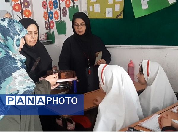 اجرای طرح سبک زندگی اسلامی، ایرانی