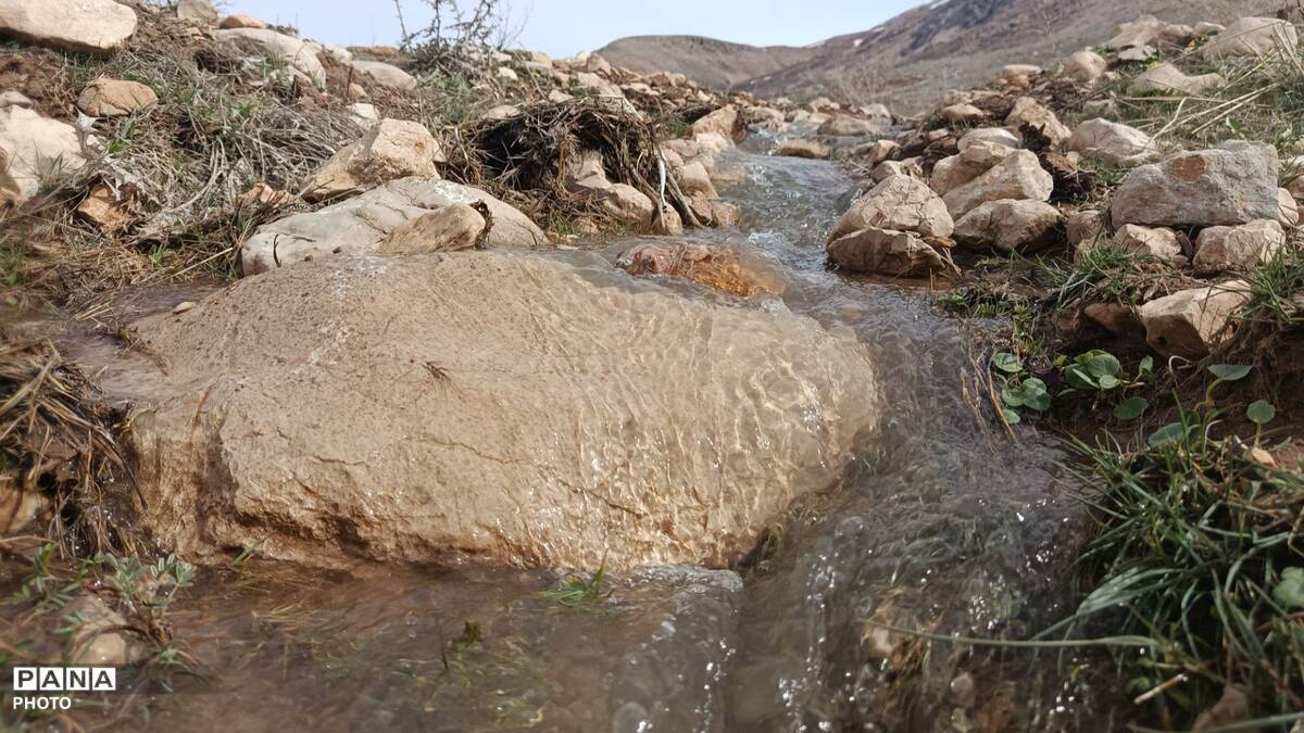 زیبایی تنگ دستنا در قاب پانا