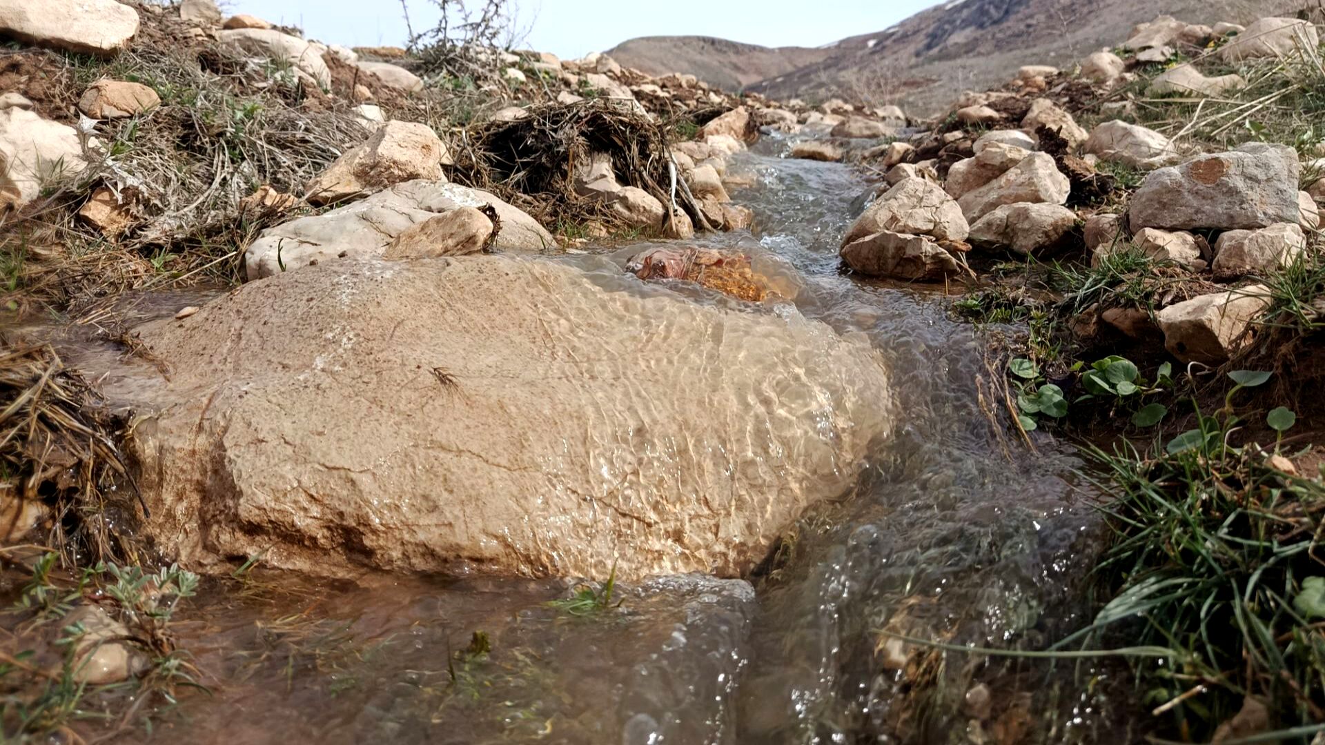 زیبایی تنگ دستنا در قاب پانا