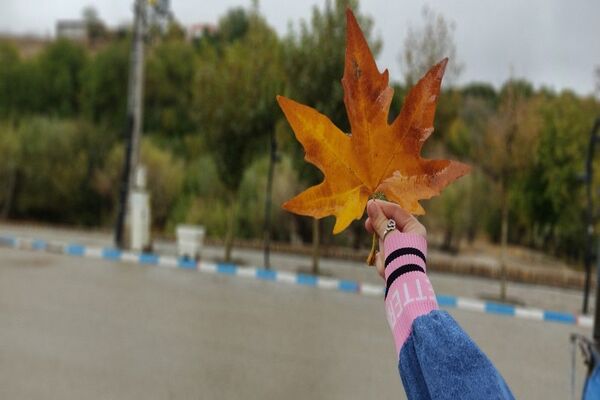 فصل زیبای پاییز در شهر بار نیشابور 