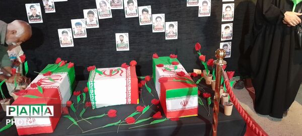 از کوچه تا حرم؛ هجومِ جمعیتِ عاشق در مسیرِ ردپای معصومین