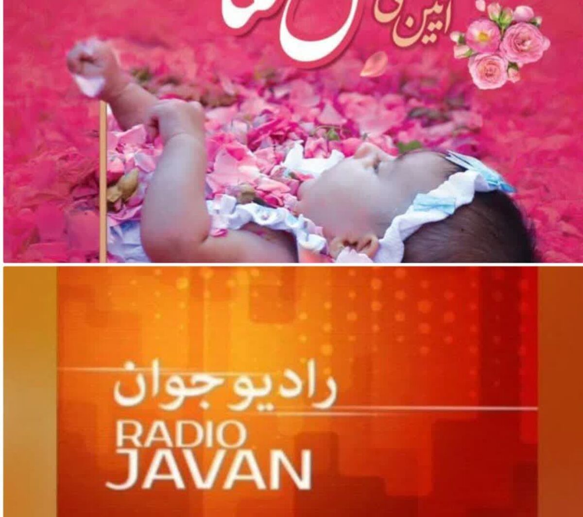 آئین ملی گلغلتان در پایتخت گل و گلاب 