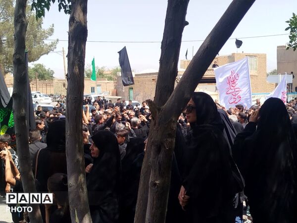 حرکت دسته‌های عزاداری در روستای فدافن همزمان با روز تاسوعای حسینی