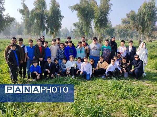 نرگسزارهای بهبهان