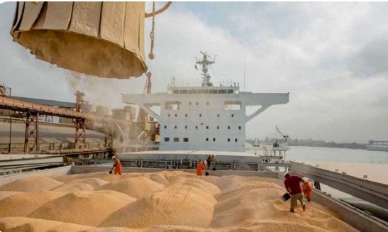 مسئولیت نظارت و توزیع نهاده‌های دامی به شرکت پشتیبانی امور دام واگذار شد