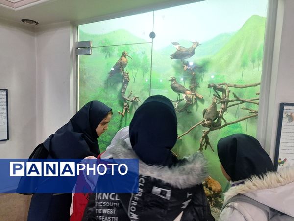 اردوی علمی ،تفریحی دانش آموزان مدرسه مهندس رحمانی فرد در پژوهش سرای علامه طباطبایی