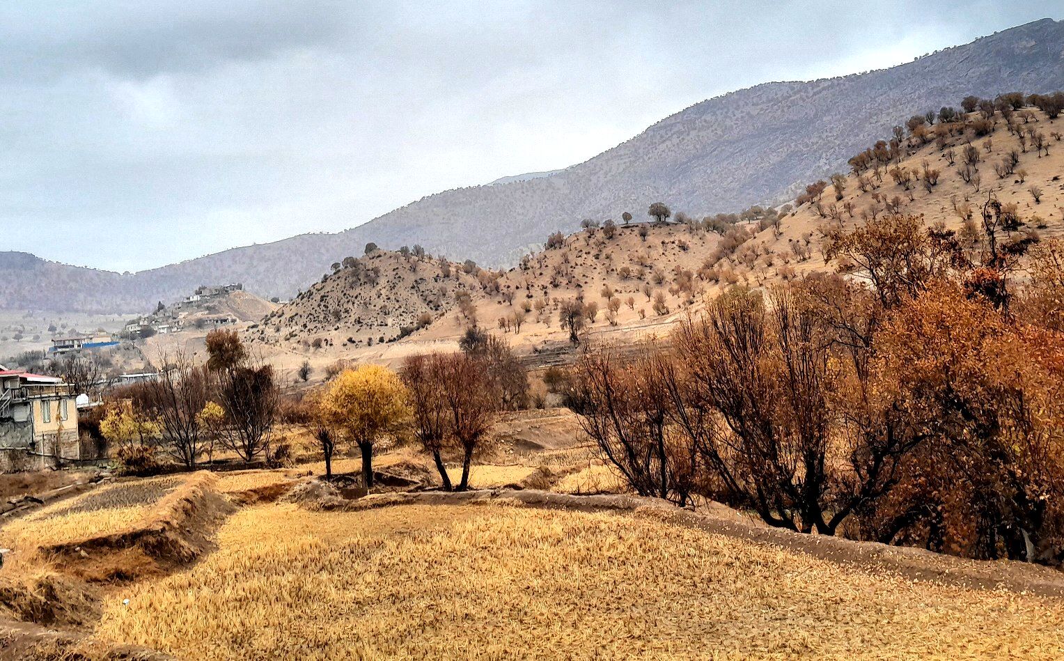 بازگشت باران به میانکوه پس از ماه‌ها خشکسالی