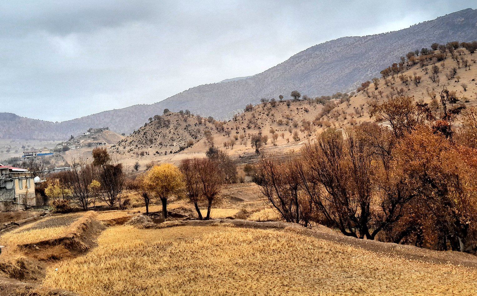 بازگشت باران به میانکوه پس از ماه‌ها خشکسالی
