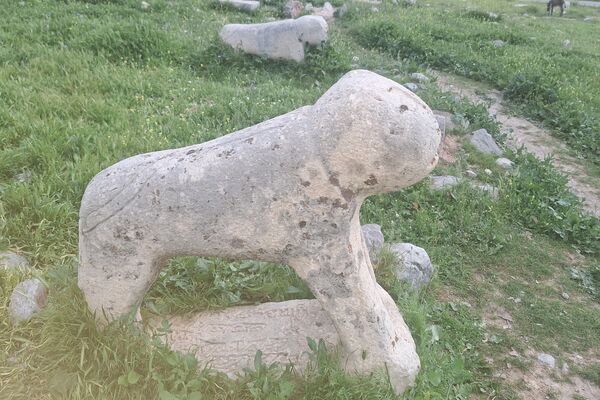 قبرستانی تاریخی و سرسبز به قدمت چند صد ساله در فارس