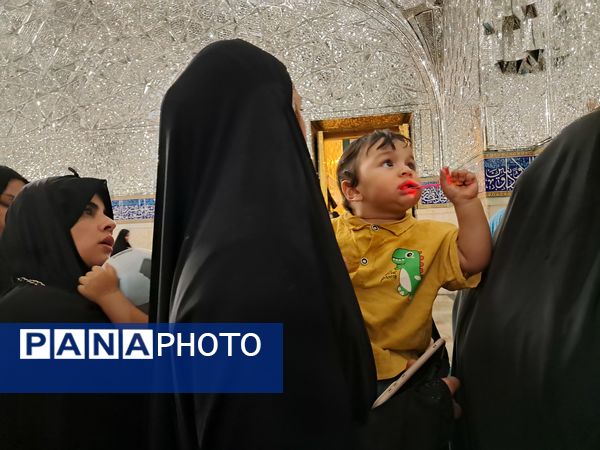 کبوتر حرم مشهد مقدس