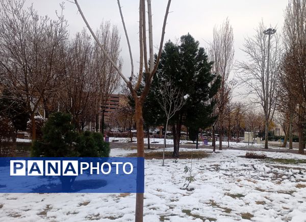 بارش برف در شهر زیبای مشهد 