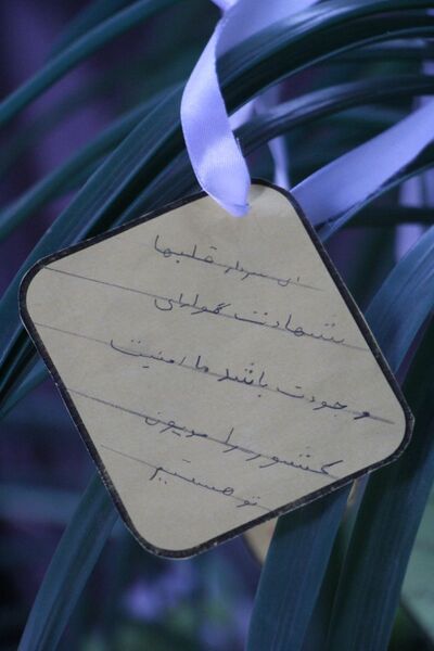 گرامیداشت پنجمین سالگرد شهادت سردار سلیمانی در شهرستان بم 