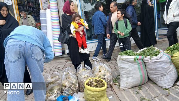 عطر بهار در کوهستان های تویسرکان؛ رویش سبزیجات