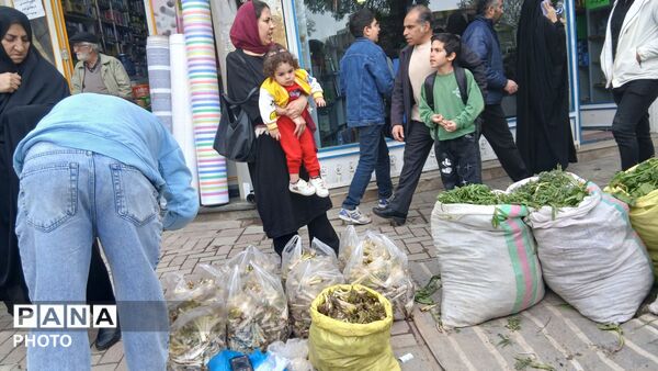عطر بهار در کوهستان های تویسرکان؛ رویش سبزیجات