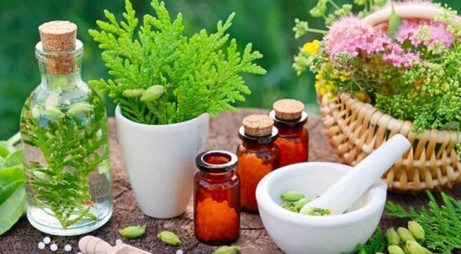 سفری به دنیای گیاهان دارویی؛ مرز میان سلامت و خطر