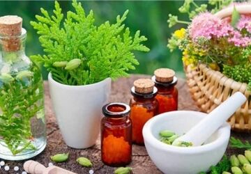 سفری به دنیای گیاهان دارویی؛ مرز میان سلامت و خطر