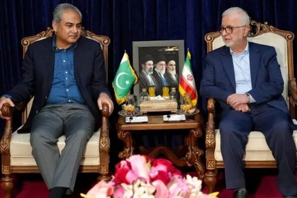 روابط ایران و پاکستان باید به طور چشمگیر و ملموس ارتقا یابد