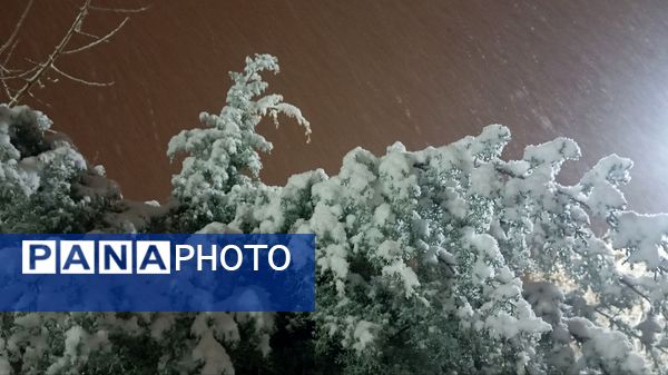 سپیدی بر چهره نیشابور، لبخند پاییز بر دیار فیروزه‌ای