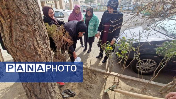 زینت بخشی مدارس شهرستان قدس با کاشت نهال های جوان