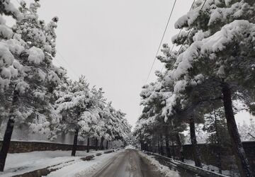 دومین بارش زیبای برف در شهرستان نیشابور 