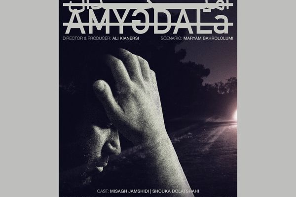 فیلم کوتاه «آمیگدال» آماده نمایش شد