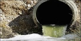 تشریح اقدامات پیشگیرانه محیط‌زیست شهرستان خرم‌دره برای مقابله با پشه آئدس