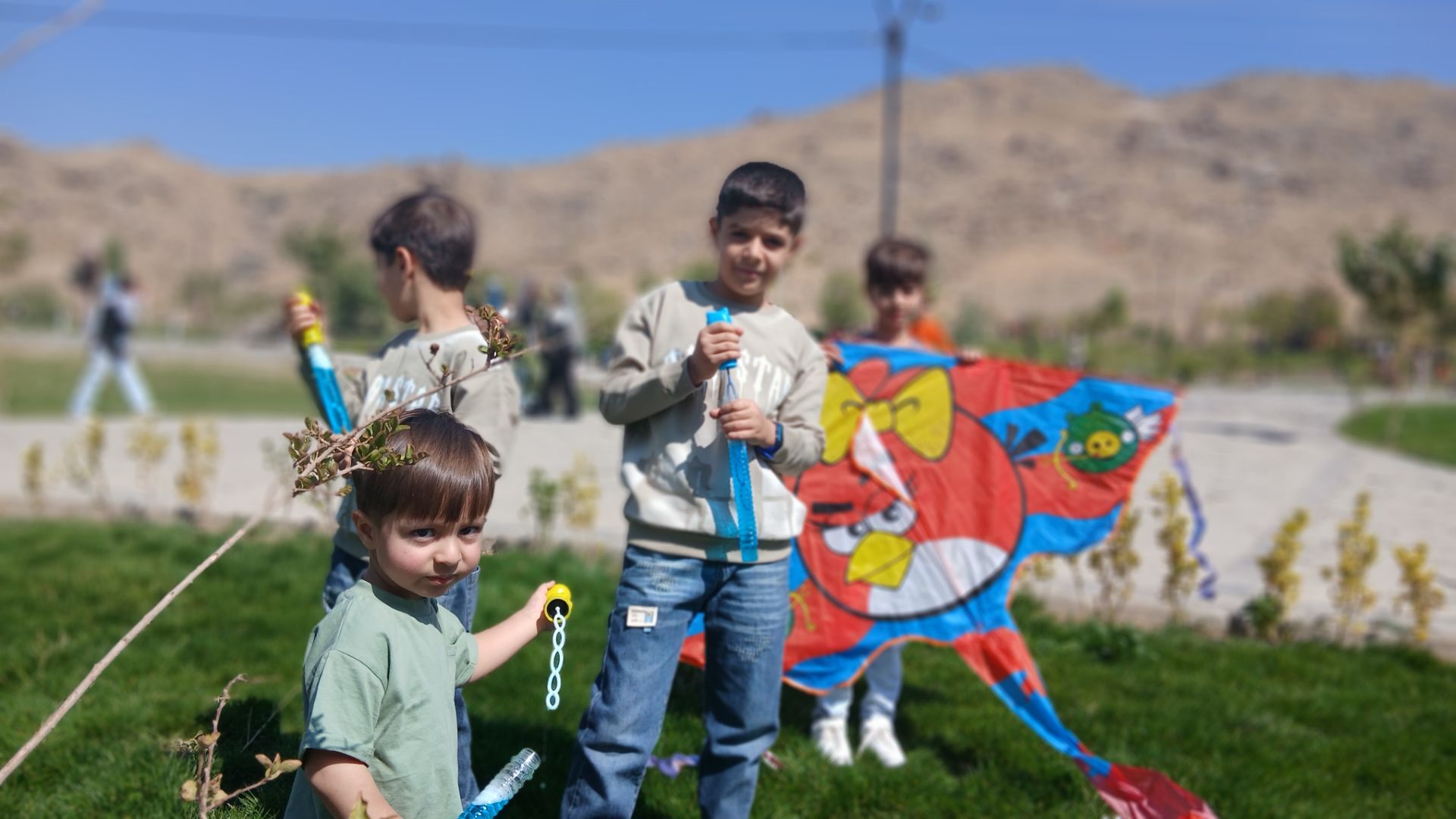 پرواز بادبادک‌ها