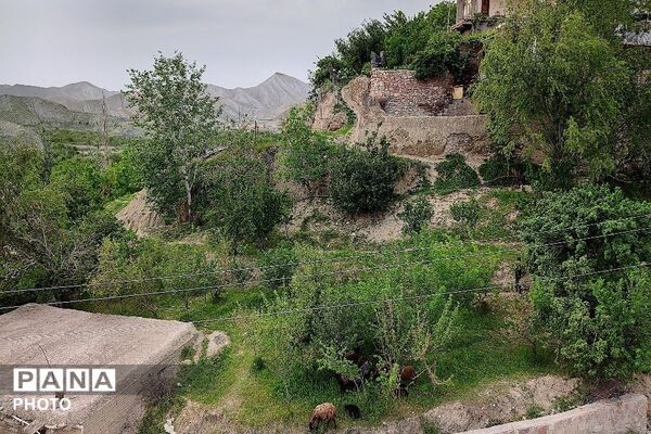 حال و هوای شهر بار نیشابور در فصل زیبای بهار