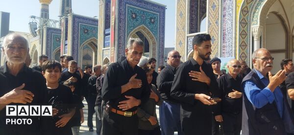 مراسم سینه زنی و عزاداری امام رضا علیه السلام توسط هیئات کاشمر 