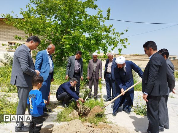 ۴ اصل نخل؛ نماد پاسداشت شهیدان و همدلی در منطقه شیب‌کوه 