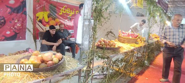 جشنواره انار تفت