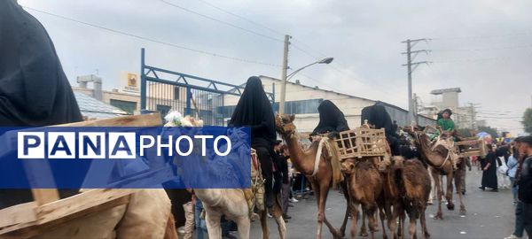 استقبال عزاداران حسینی از کاروان نمادین اسرای کربلا در قم