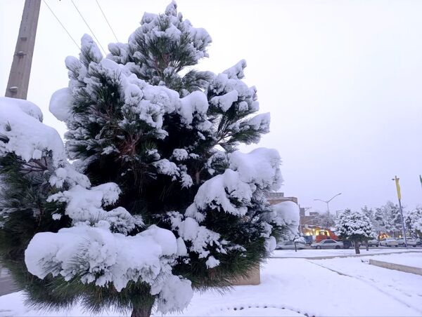 لباس زیبای برفی بر تَن اهر