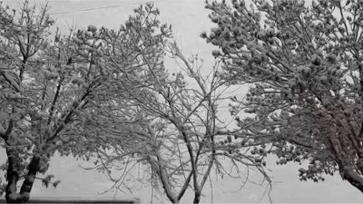 خداحافظ پاییز رنگارنگ؛ خوش آمدی زمستان زیبا و برفی 