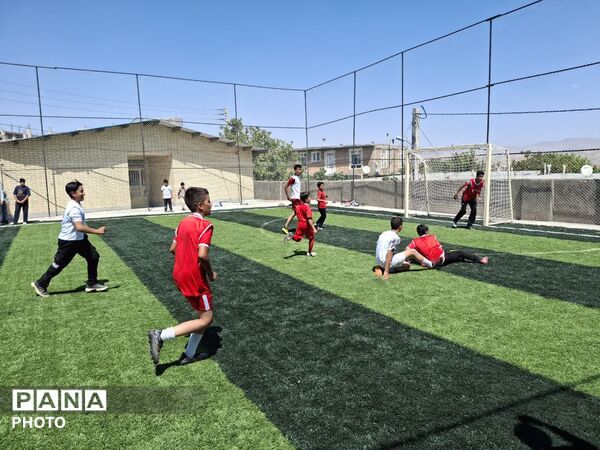 بهره برداری از دومین چمن مصنوعی در بخش صوفیان به مناسبت هفته دولت