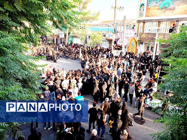 حرکت نمادین کاروان بندی اسد روستای فدافن و آیین نخل گردانی در کاشمر 
