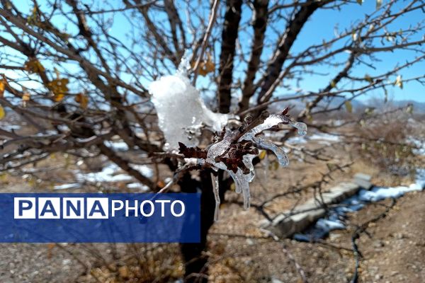 رد پای برف در باغات نهضت آباد اصفهان
