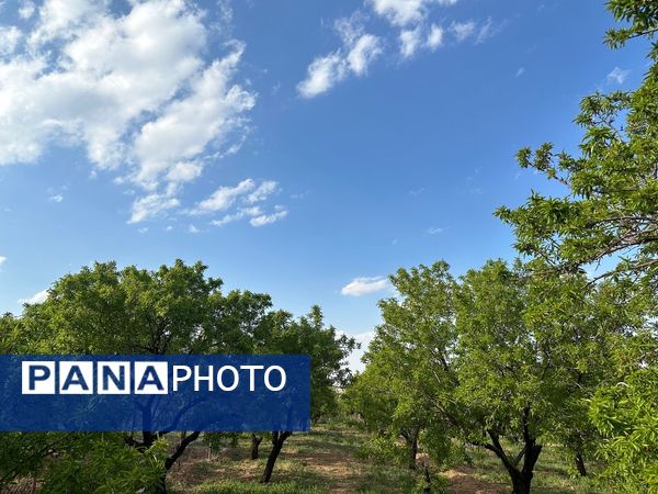 طبیعت هم با آمدن بهار زیبا شد 