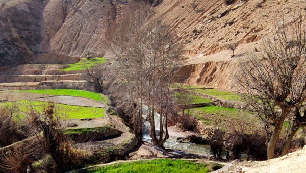 طبیعت بکر رفن در قاب‌ پانا