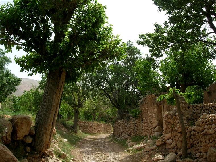 طبیعت‌گردی مسافران و مردم در باغستان کوهپایه