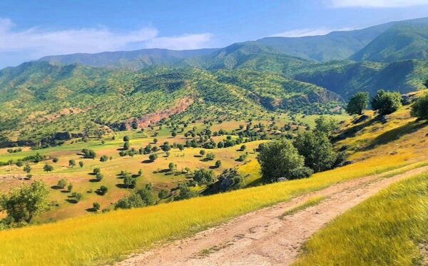 مسن و سرتنگ روستاهایی در دل طبیعت خانمیرزا 