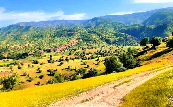 مسن و سرتنگ روستاهایی در دل طبیعت خانمیرزا 