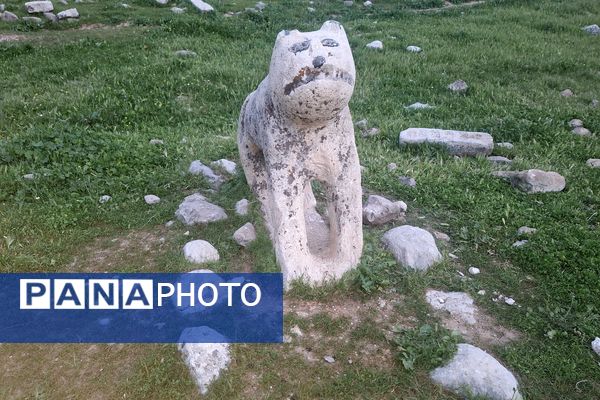 قبرستانی تاریخی و سرسبز به قدمت چند صد ساله در فارس