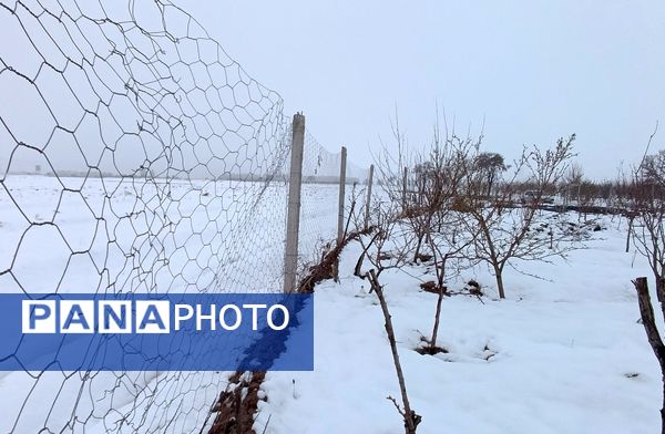 مناظر زیبای باغات روستای بوژمهران پس از بارش برف بهاری ۲۰ سانتیمتری 
