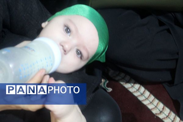 همایش شیرخوارگان حسینی در گلوگاه 