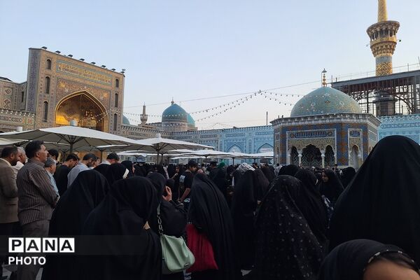 نجوای عاشقانه زائران در روز عرفه؛ مشهد الرضا غرق در زمزمه‌های بندگی
