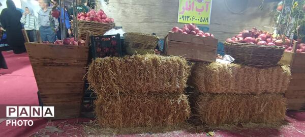 جشنواره انار تفت
